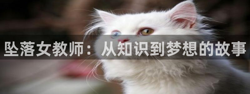 age专注动漫的门户网站：坠落女教师：从知识到梦想的故事
