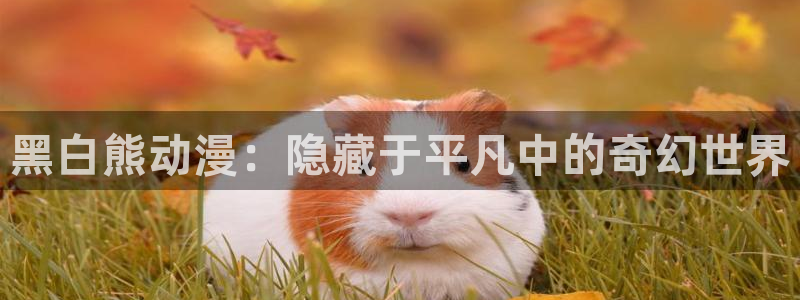 kakaopage韩漫官网：黑白熊动漫：隐藏于平凡中的奇幻世界