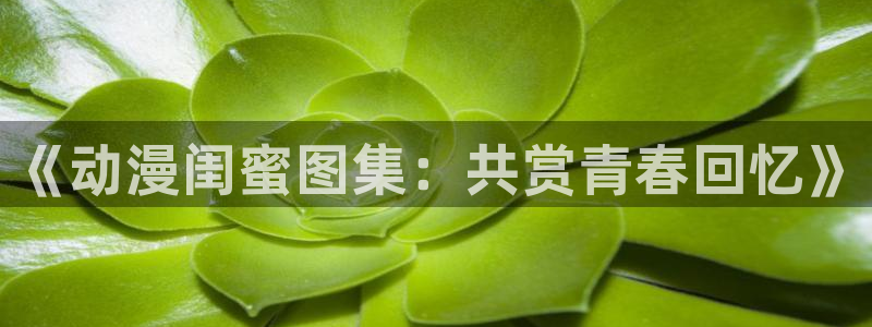 stagenehind韩漫免费观看：《动漫闺蜜图集：共赏青春回忆》