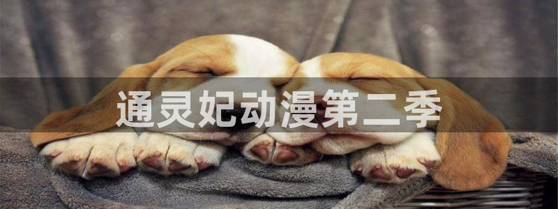 age动漫官网入口老版本：通灵妃动漫第二季
