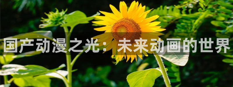 age动漫网：国产动漫之光：未来动画的世界