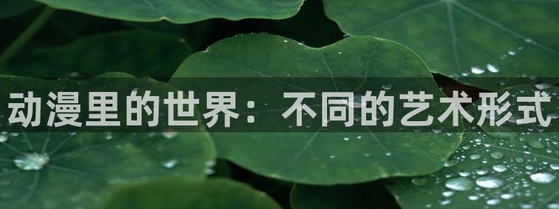 age动漫网：动漫里的世界：不同的艺术形式