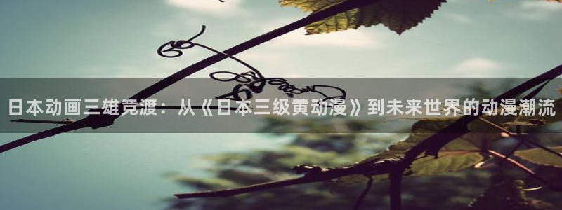韩国漫画平台kakaopage：日本动画三雄竞渡：从《日本三级黄动漫》到未来世界的动漫潮流