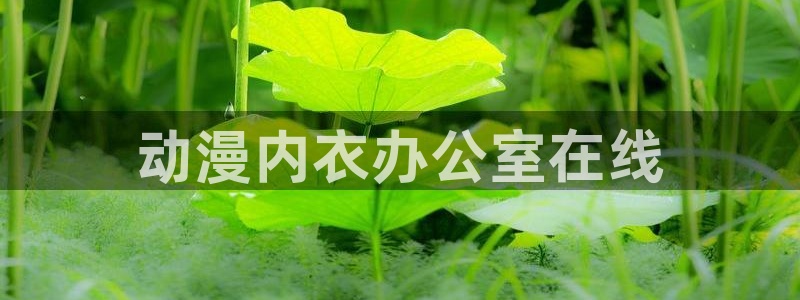 age动漫网：动漫内衣办公室在线
