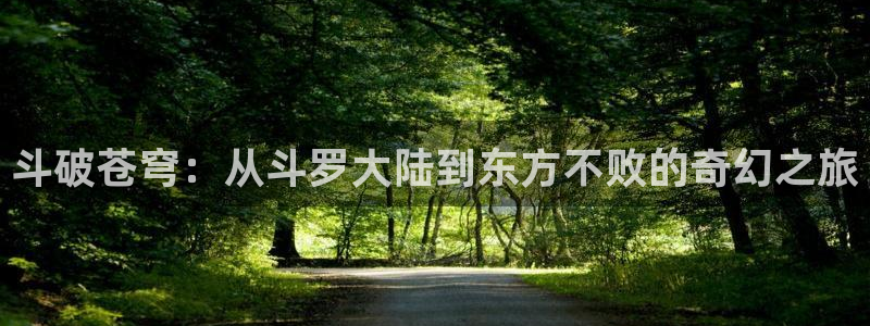 age动漫官网网址：斗破苍穹：从斗罗大陆到东方不败的奇幻之旅