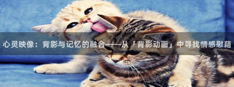韩国漫画平台kakaopage：心灵映像：背影与记忆的融合——从「背影动画」中寻找情感慰藉