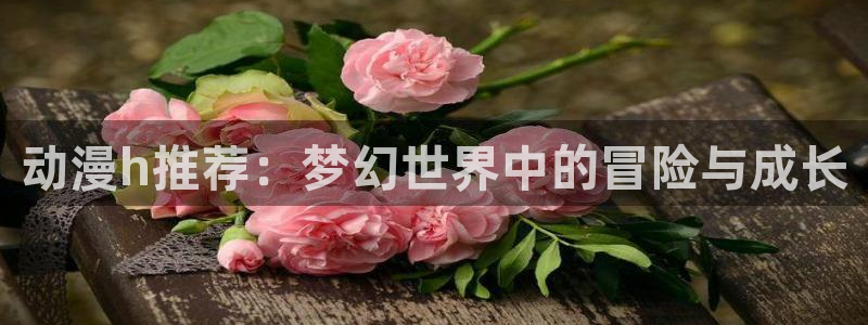 拷贝漫画 copymanager.ory网站：动漫h推荐：梦幻世界中的冒险与成长