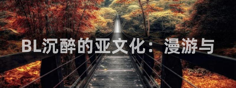 age动漫下载网：BL沉醉的亚文化：漫游与