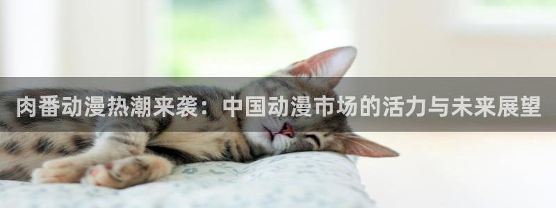 age动漫网下载：肉番动漫热潮来袭：中国动漫市场的活力与未来展望