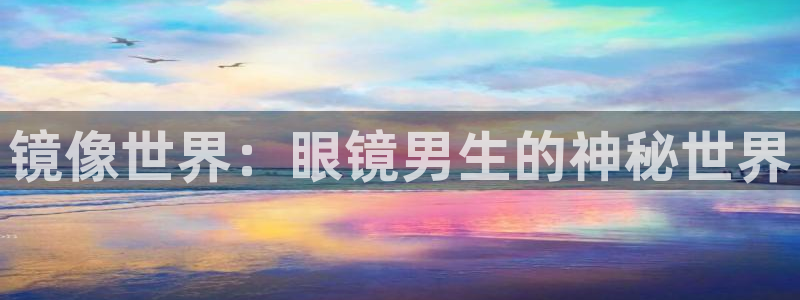age动漫网：镜像世界：眼镜男生的神秘世界