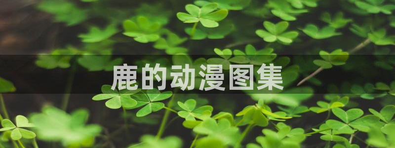 stagenehind韩漫免费观看：鹿的动漫图集
