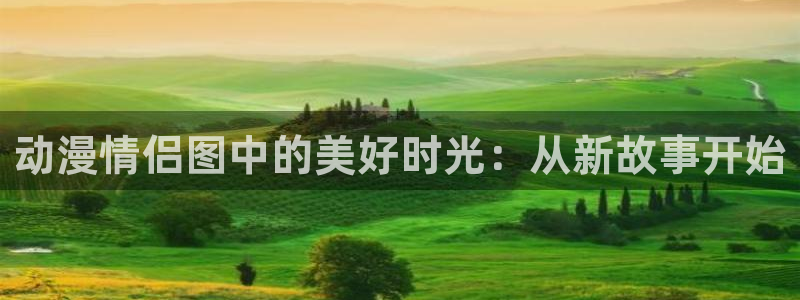 age动漫官网版入口：动漫情侣图中的美好时光：从新故事开始