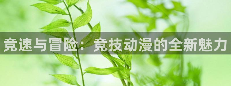 age动漫官网在线入口：竞速与冒险：竞技动漫的全新魅力