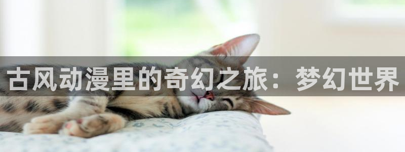age动漫官网在线入口：古风动漫里的奇幻之旅：梦幻世界