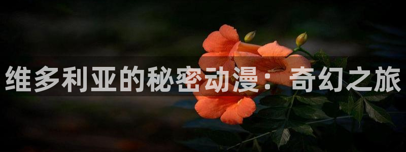 拷贝漫画 copymanager.ory网站：维多利亚的秘密动漫：奇幻之旅