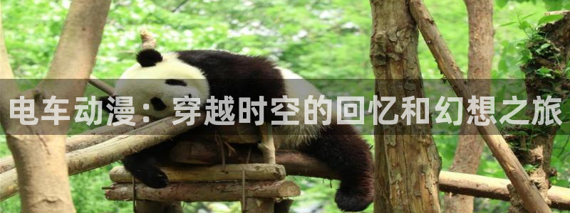 age专注动漫的门户网站：电车动漫：穿越时空的回忆和幻想之旅