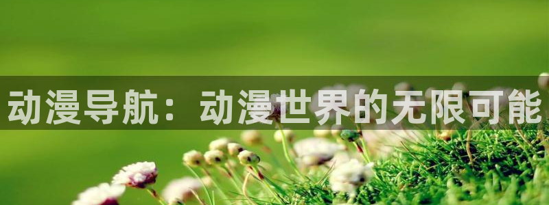 age动漫网下载：动漫导航：动漫世界的无限可能