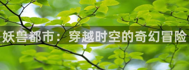 age动漫官网在线入口：妖兽都市：穿越时空的奇幻冒险