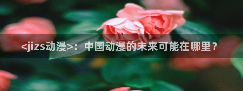 age动漫专注动漫的门户网站：<jizs动漫>：中国动漫的未来可能在哪里？