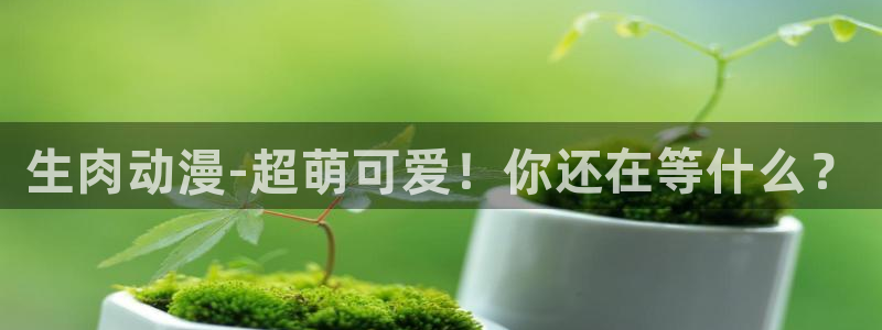 age动漫官网在线入口：生肉动漫-超萌可爱！你还在等什么？