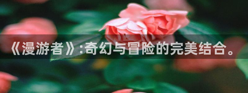 age动漫下载动漫全免费：《漫游者》:奇幻与冒险的完美结合。